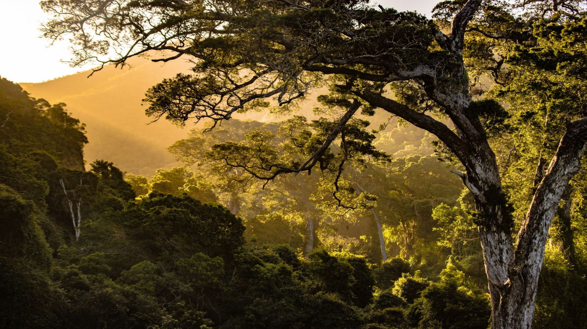 The sun sets over Nature Valley in South Africa.