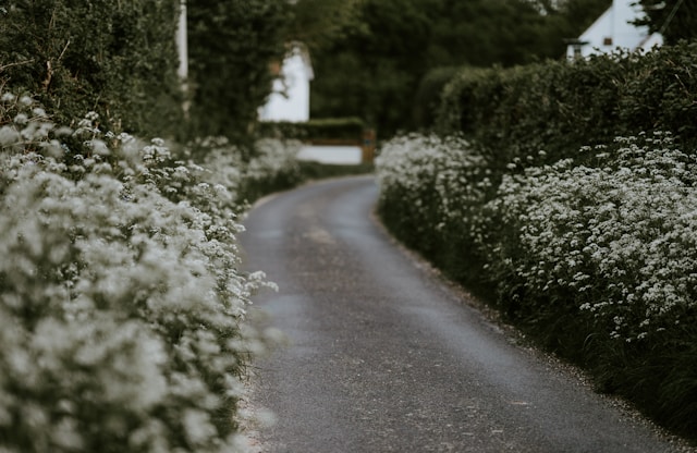 Kleine weg, kleine wereld